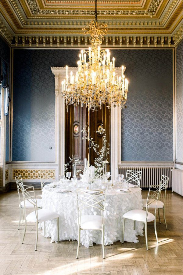Wedding Chameleon chairs (location 45721 Haltern am See)
